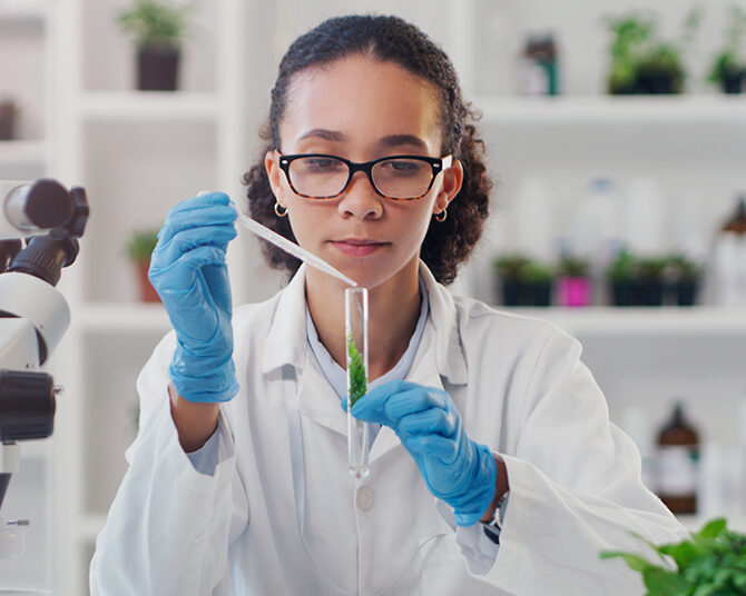 Lab worker, woman ecology scientist and test tube with chemical of employee with science work. Laboratory, medical and plant for disease, virus and health analysis doing futuristic research with tech.