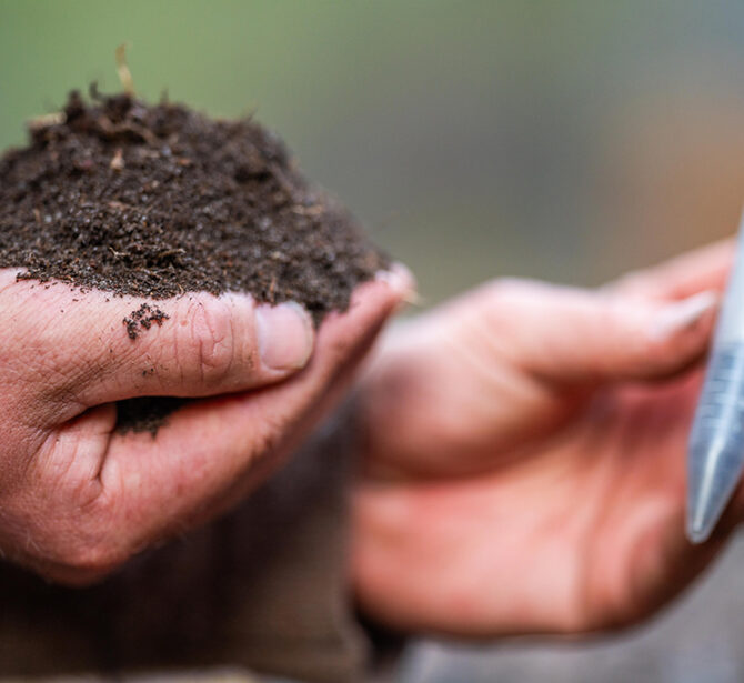 taking a soil sample for a soil test in a field. Testing carbon sequestration and plant health in australia